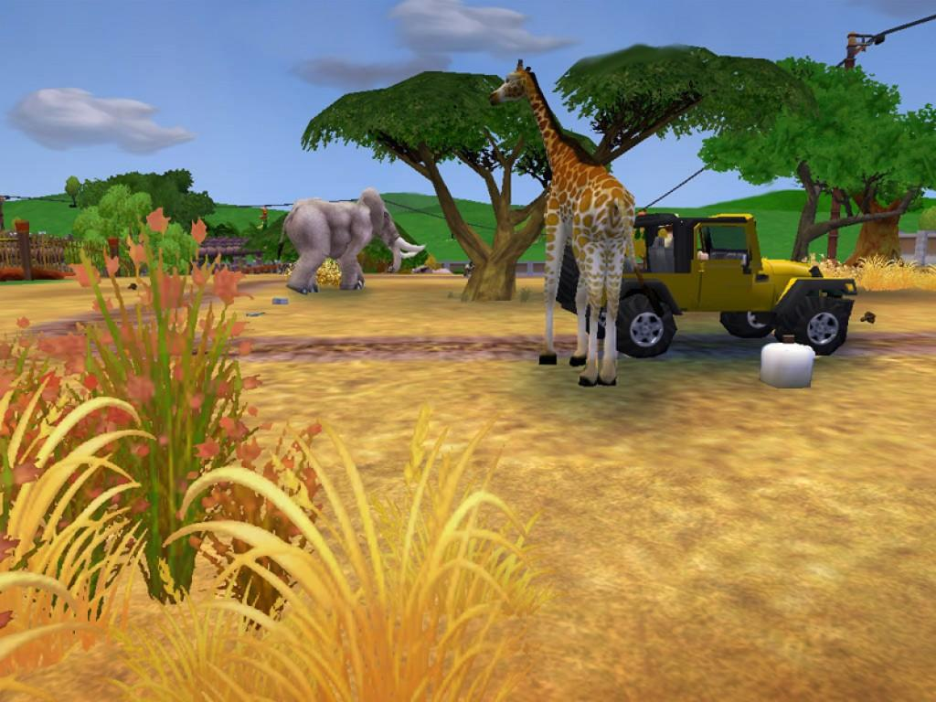 animal games online